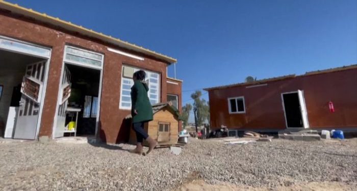 أول محمية لإيواء الحيوانات المشردة في بغداد