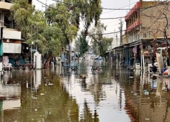 بالصور غرق مناطق عدة في أربيل بعد ليلة من الأمطار الغزيرة