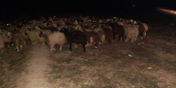 ملاحقة مهربين من قبل  حرس الحدود العراقي