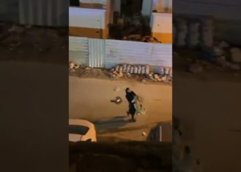فتاة كويتية تقبض على “أسد” سيطرت عليه بكل سهولة + فيديو