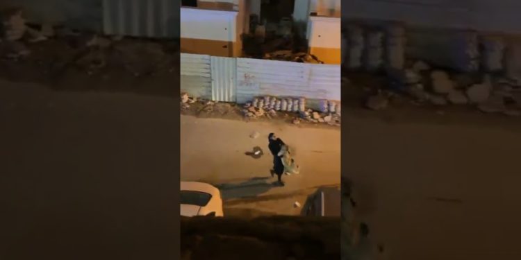 فتاة كويتية تقبض على “أسد” سيطرت عليه بكل سهولة + فيديو