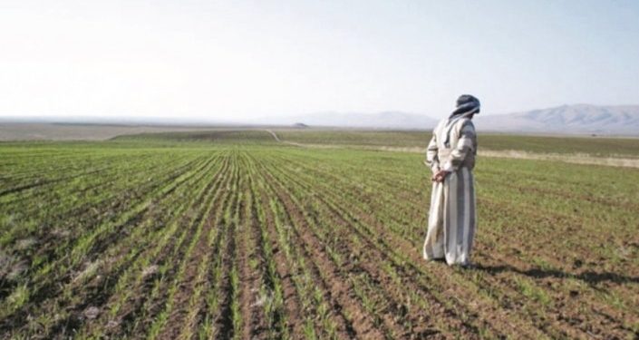 مديرية زراعة الأنبار تتخذ إجراءات لــ(مكافحة التصحر والحد من البطالة)