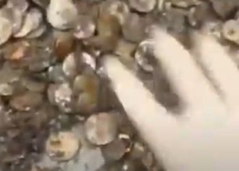  كنز عملات وماس يتدفق من ماسورة مياه ,, (الحظ يفاجئ عامل صرف) + فيديو