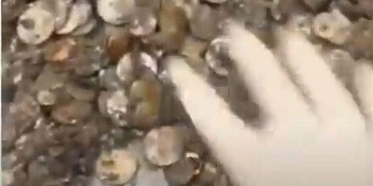 كنز عملات وماس يتدفق من ماسورة مياه ,, (الحظ يفاجئ عامل صرف) + فيديو