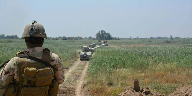 قوات مشتركة تفتش بساتين أبي صيدا في ديالى وتجد عبوة ناسفة