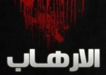 اعترافات “إرهابي” تنكر بصفة نجار في دولة مجاورة قبل الإطاحة به