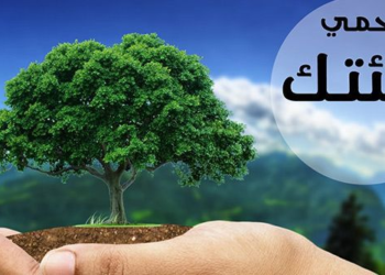 العراق يستعد لإطلاق ’الورقة الخضراء’.. استراتيجية ’متكاملة’ لدعم الزراعة