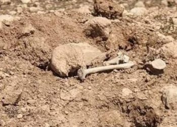العثـــــورعلى مقبرة جماعية جديدة لضحايا داعش في سنجار