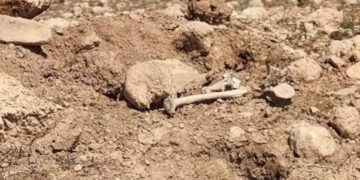 العثـــــورعلى مقبرة جماعية جديدة لضحايا داعش في سنجار