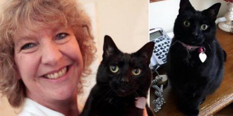 قطة تنقذ حياة صاحبتها من السرطان