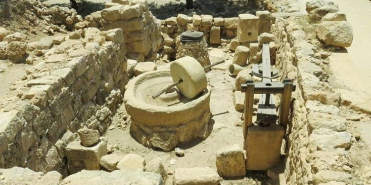 “السياحة الاستيطانية” جزء من الرزم السياحية إلى تل أبيب