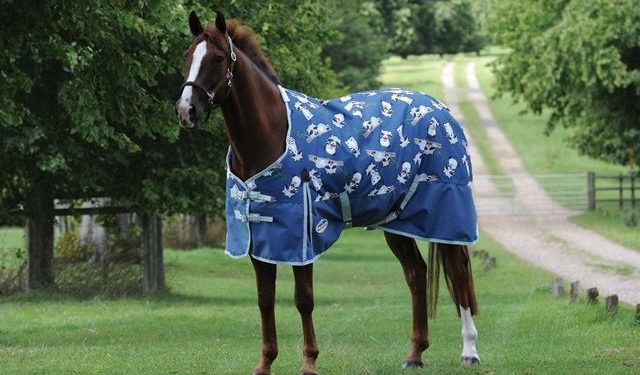 فرنسي يستخدم حصانا للذهاب إلى عمله ,, هربا من أسعار الوقود ,,