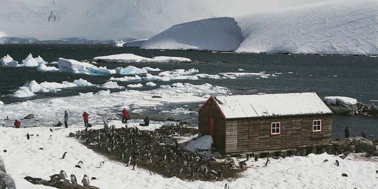 أبعد مكتب بريد بالعالم يبحث عن موظفين من شروطه (القدرة على عدِّ البطاريق والعيش بلا إنترنت)