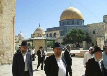 جماعات الهيكل يستعدون لـ”ذبح القربان” في الأقصى