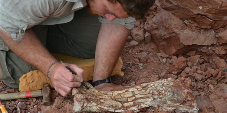 علماء أرجنتينيون يعثرون على تنين الموت ,, جسمه بطول حافلة مدرسية