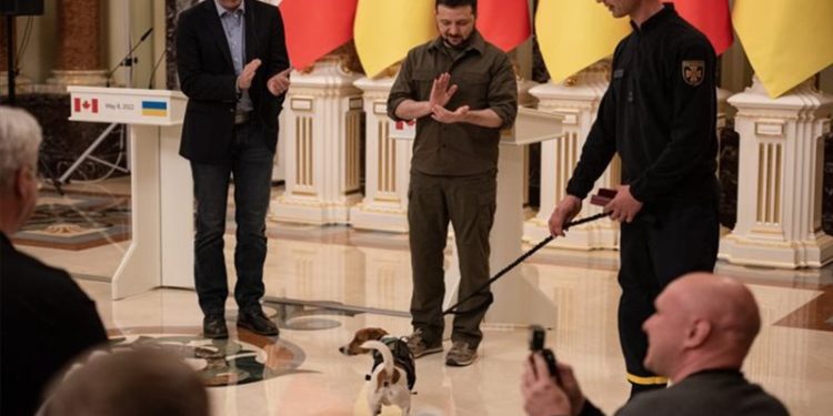 زيلينسكي يكّرم “كلبًا”.. ويمنحه وسامًا رفيعًا
