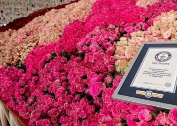 سعوديون يصنعون أكبر سلة ورد في العالم  ,, دخلت موسوعة “جينيس”
