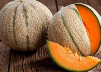 بيع ثمرتي شمام بـ 24 ألف $ في اليابان