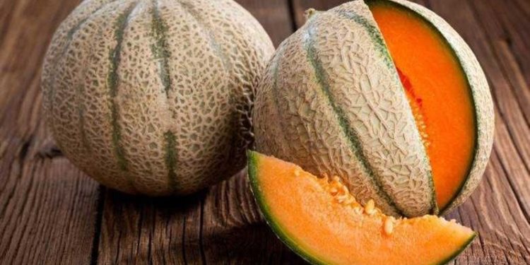 بيع ثمرتي شمام بـ 24 ألف $ في اليابان