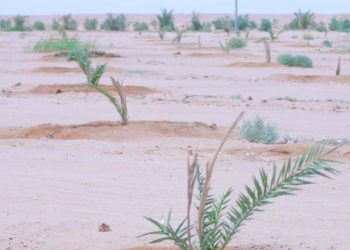 الاعلان عن إعداد خطة لمواجهة التغير المناخي وتحذر من ظاهرة “النازح البيئي”