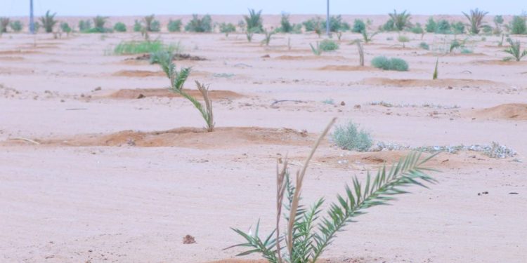 الاعلان عن إعداد خطة لمواجهة التغير المناخي وتحذر من ظاهرة “النازح البيئي”