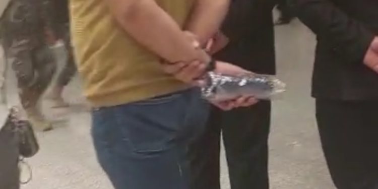 بالفيديو المحاضرين المجانيين داخل مجلس النواب