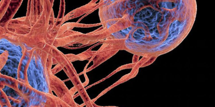 حقن أول مريض بشري بفيروس ثوري قاتل للسرطان