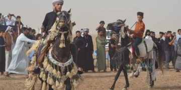 ميسان تحتضن مهرجاناً للخيول العربية الأول من نوعه