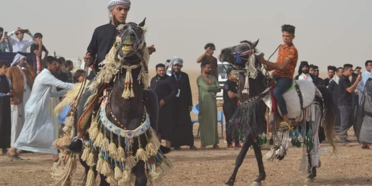 ميسان تحتضن مهرجاناً للخيول العربية الأول من نوعه