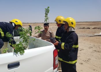 شروع الدفاع المدني بتعزيز الحزام الأخضر في المدن