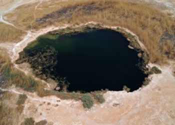 بالفيديو بحيرة ساوه تنبض بالحياة