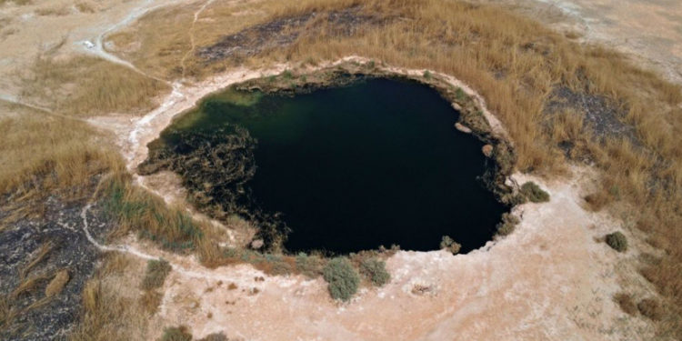 بالفيديو بحيرة ساوه تنبض بالحياة