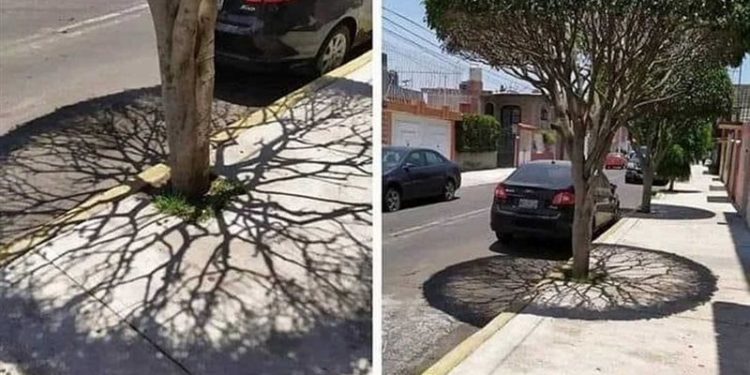 ظاهرة غريبة تحدث في السعودية وعدد من الدول العربية يوم غد