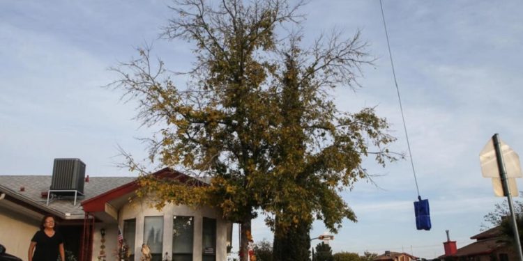 أمـــــازون تتحضر لإطلاق “خدمة توصيل بالمسيرات” في كاليفورنيا