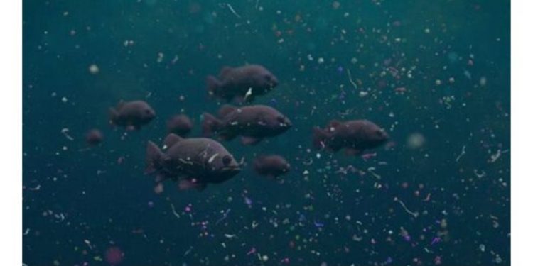 أسماك روبوتية “تنظـــف المياه” من المواد البلاستيكية الدقيقة