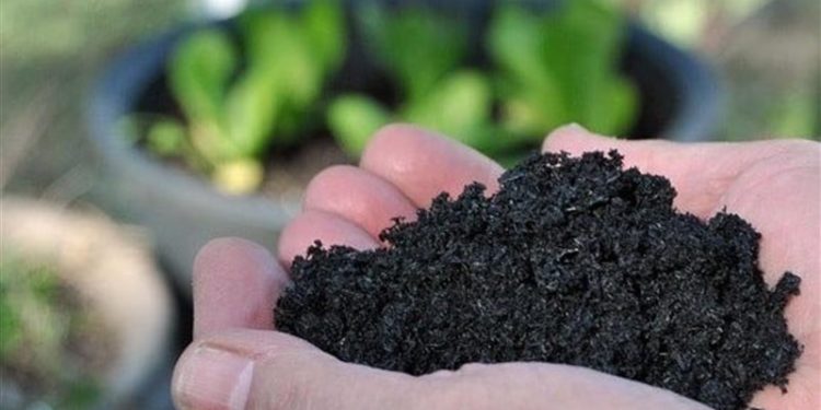 تحويـــــل النفايات لمادة مـغذية للغـــابات