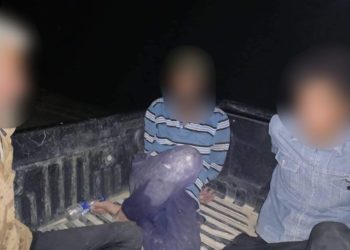 القبض على (3 متهمين) حاولوا رمي السموم في هور الدلمج بمحافظة واسط