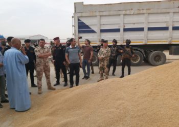 ضبط الاف الاطنان من الحنطة المكدسة في مخازن اهلية  من خلال جولات مشتركة مع الامن الوطني و الرقابة التجارية + صور