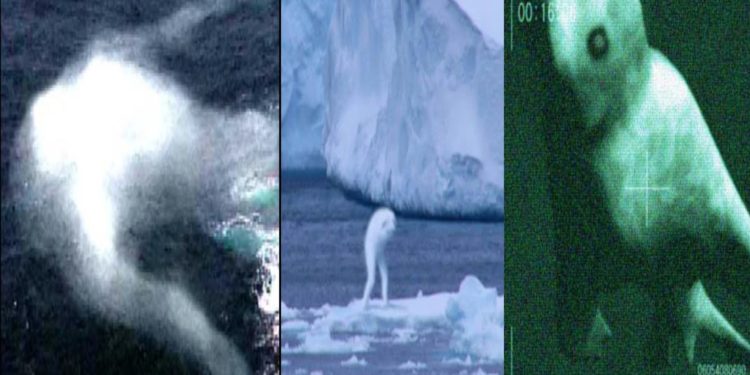 اكتشاف عالم خفي لــ”مخلوقات مجهولة الهوية” تحت الجليد في القطب الجنوبي