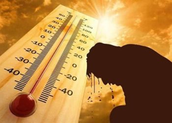تحذيــــر .. درجات الحرارة المرتفعة على القلب