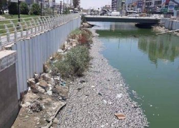 نفــــــــوق عدد كبير من الأسماك في نهر العشار بالبصرة