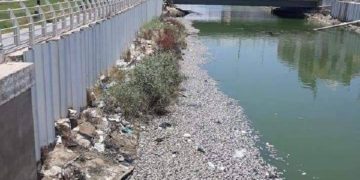 نفــــــــوق عدد كبير من الأسماك في نهر العشار بالبصرة