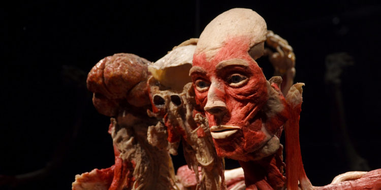 أغرب متاحف العالم على الإطلاق بالصور و الفيديو