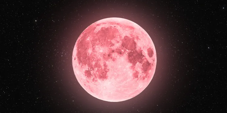 قمر الفراولة .. عجبة من عجائب الطبيعة أكتمل ظهورها