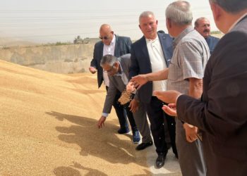 التجارة تكشف عن “مؤشرات إيجابية” لمواجهة تحديات أزمة الحبوب العالمية