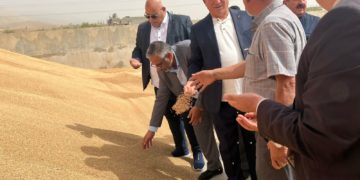 التجارة تكشف عن “مؤشرات إيجابية” لمواجهة تحديات أزمة الحبوب العالمية