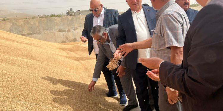 التجارة تكشف عن “مؤشرات إيجابية” لمواجهة تحديات أزمة الحبوب العالمية