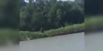نصف إنسان ونصف كلب.. مخلوق غريب يفزع صيادا أمريكيا
