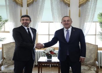 وزير خارجية الإمارات يبحث مع نظيره التركي اتفـــاق الحبوب