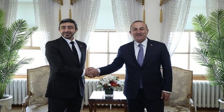 وزير خارجية الإمارات يبحث مع نظيره التركي اتفـــاق الحبوب